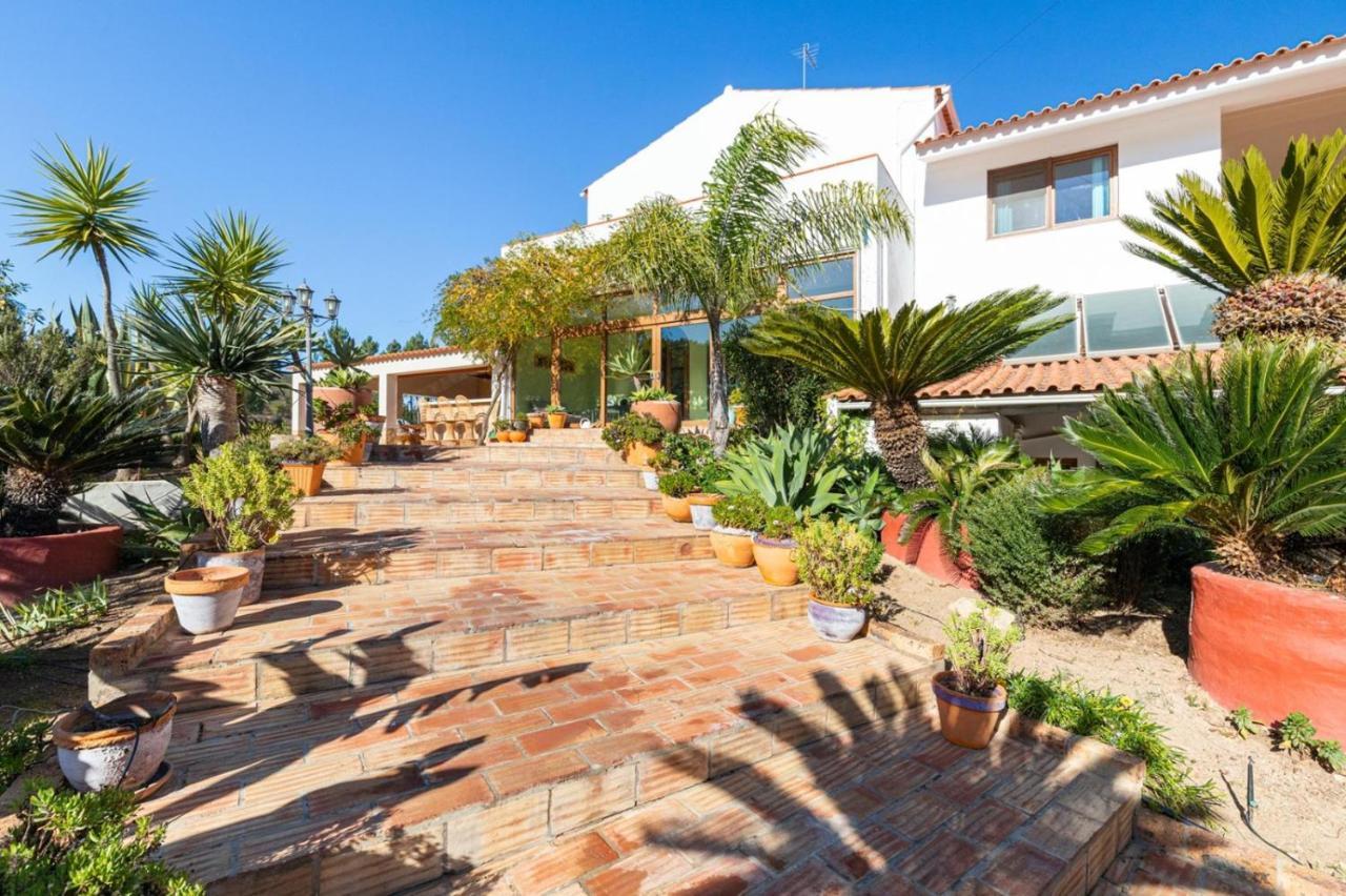 Casa Do Palmeiral - Hoom B&B Montes de Cima Eksteriør billede