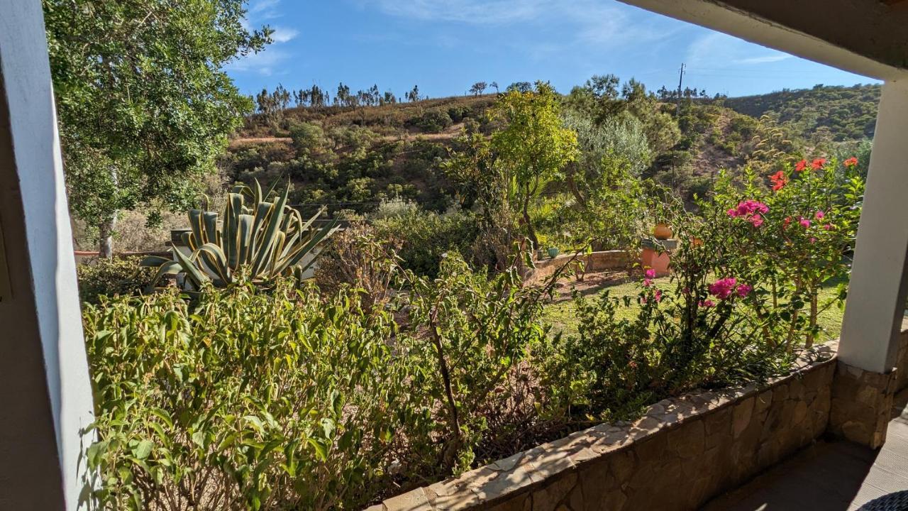 Casa Do Palmeiral - Hoom B&B Montes de Cima Eksteriør billede