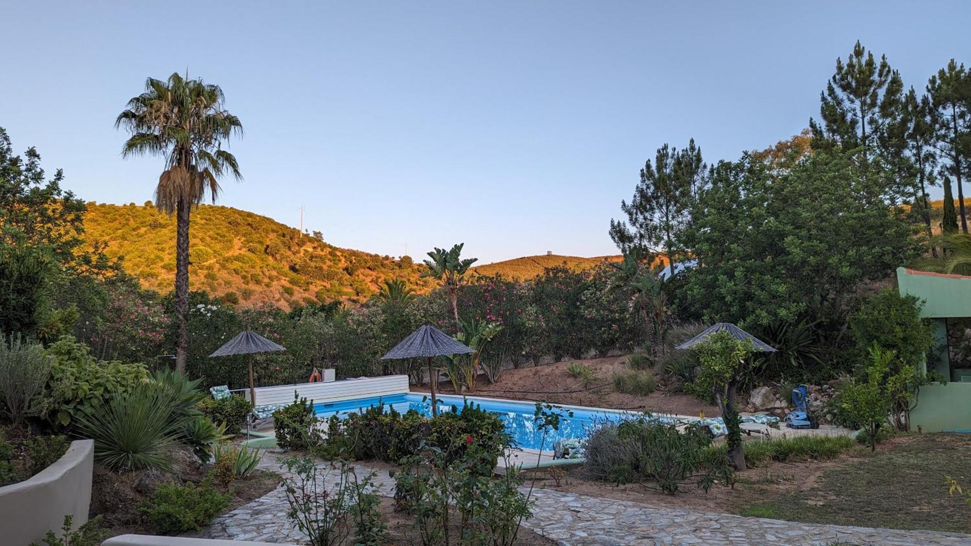 Casa Do Palmeiral - Hoom B&B Montes de Cima Eksteriør billede